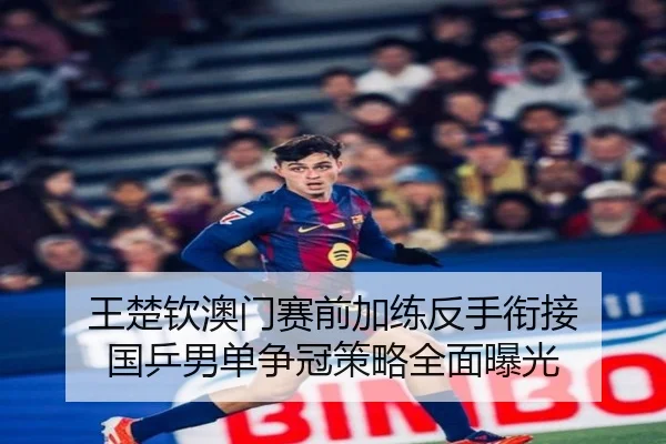 王楚钦澳门赛前加练反手衔接 国乒男单争冠策略全面曝光
