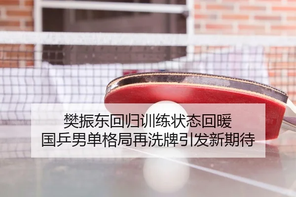 樊振东回归训练状态回暖 国乒男单格局再洗牌引发新期待